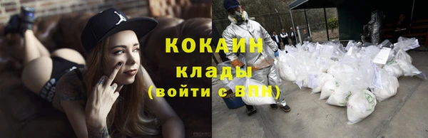 амф Липки