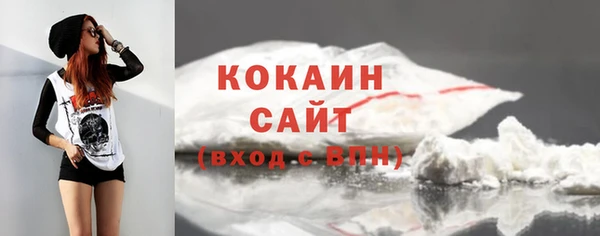 PSILOCYBIN Лихославль